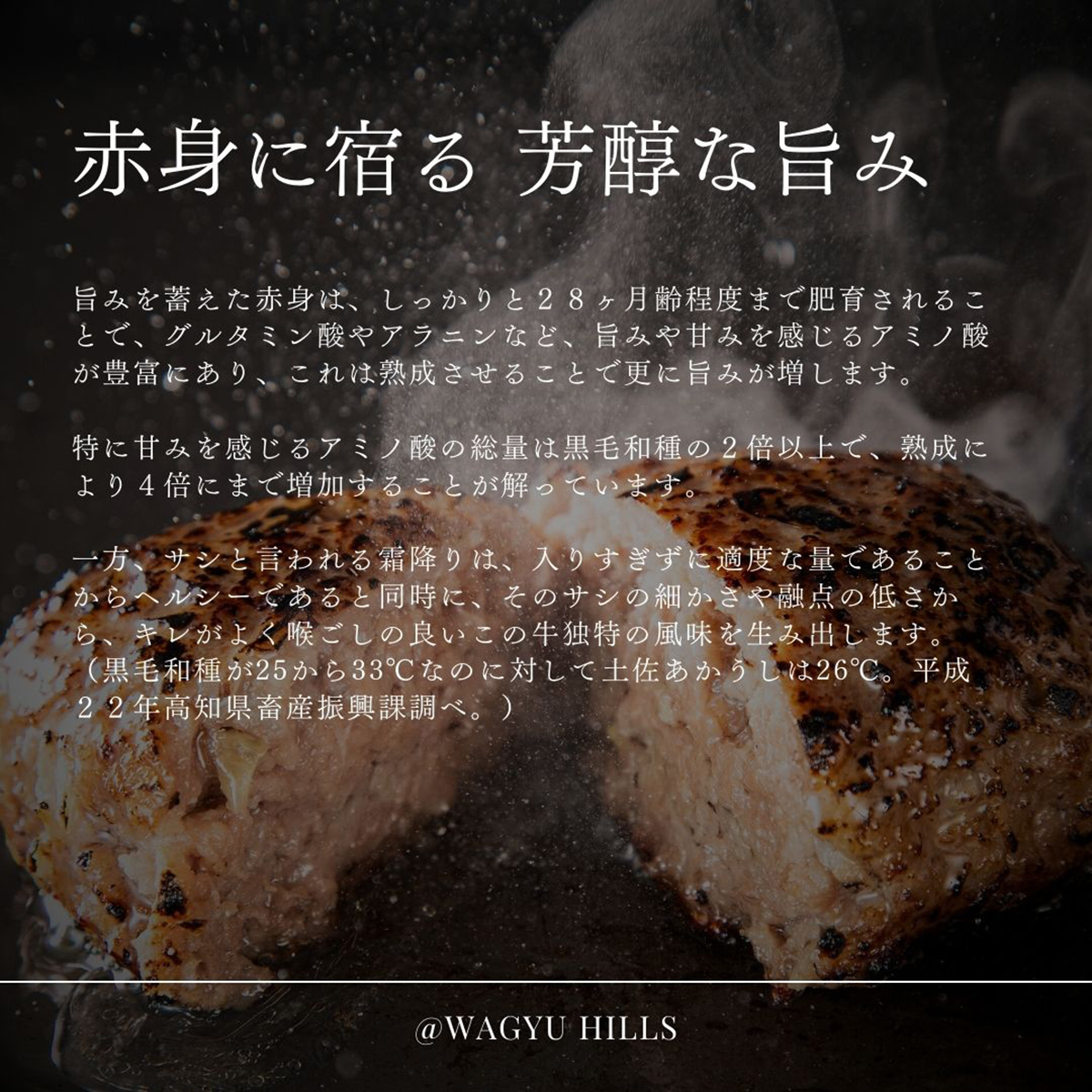 芳醇な旨み